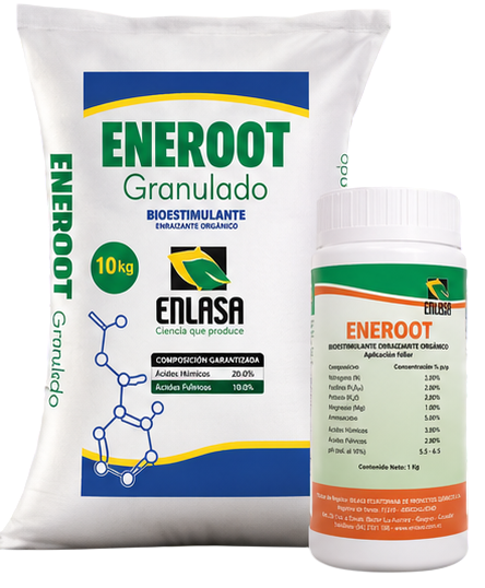 Eneroot